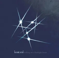 Lunatic Soul Walking Of A Flashlight Beam - LTD (2LP)