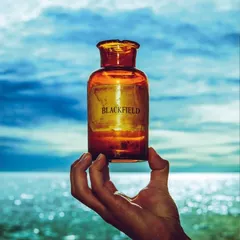 Blackfield Blackfield V (LP)