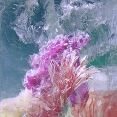 Efterklang Plexiglass EP - LTD (12")