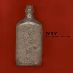 Medeski Martin &amp; Wood Tonic (2LP)