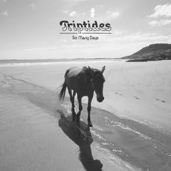 Triptides So Many Days (LP)