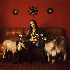 TSHA Capricorn Sun - LTD (2LP)