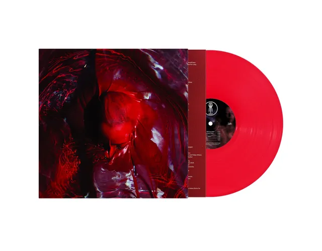 Blackwater Holylight Not Here Not Gone - LTD (LP) 