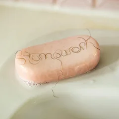 Dry Cleaning Stumpwork (CD)