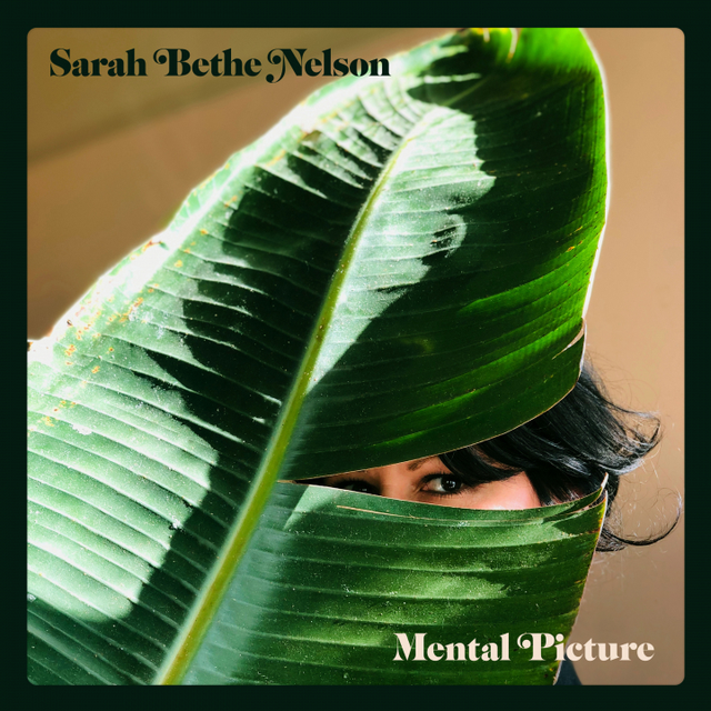 Sarah Bethe Nelson Mental Picture (LP) 