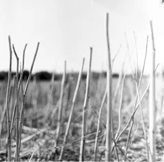 Recondite On Acid (2022) (2LP)