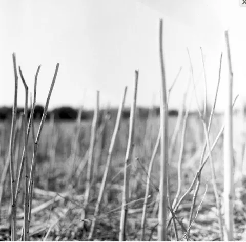 Recondite On Acid (2022) (2LP) 