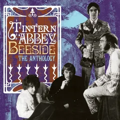 Tintern Abbey Beeside: The Anthology - LTD (2LP)