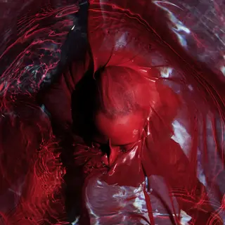 Blackwater Holylight Not Here Not Gone - LTD (LP)