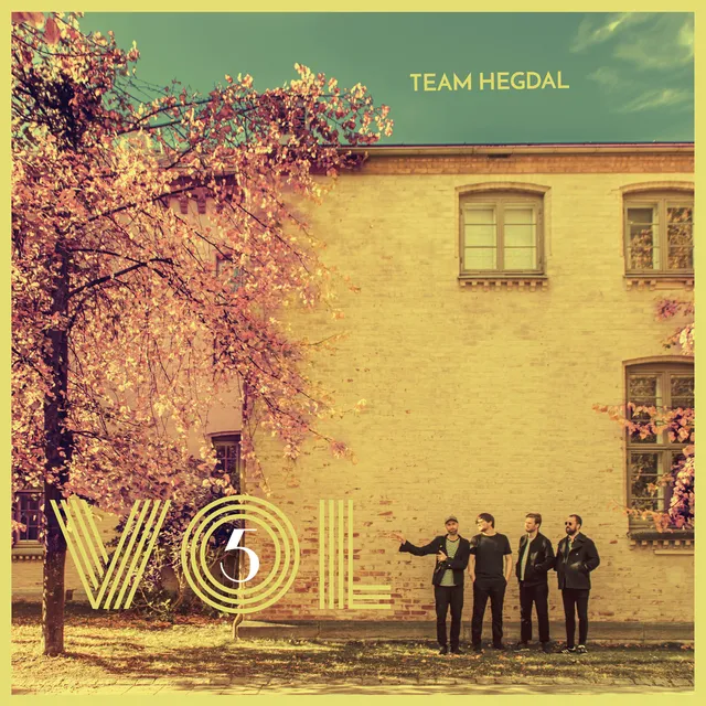 Team Hegdal Vol 5 (LP) 