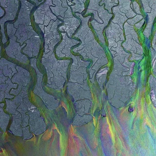 Alt-J An Awesome Wave (CD)
