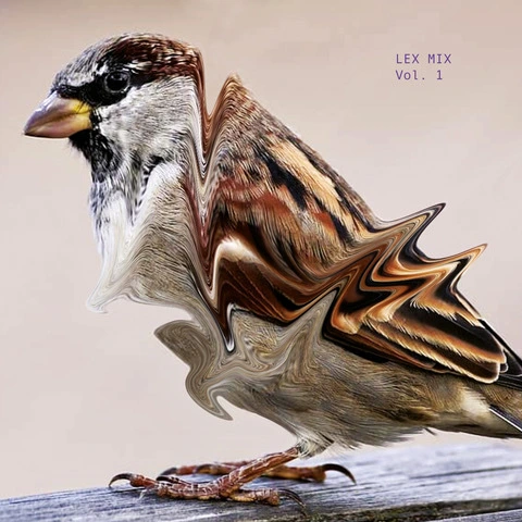 Diverse Artister Lex Mix Vol.1 (LP) 