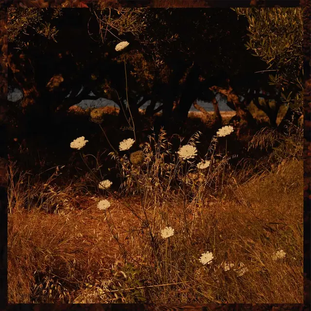 Szun Waves Earth Patterns (LP) 
