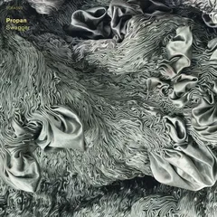 Propan Propan Swagger (LP)