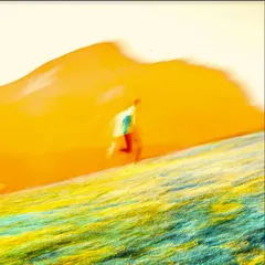 Manu Dia Often Inside (LP)
