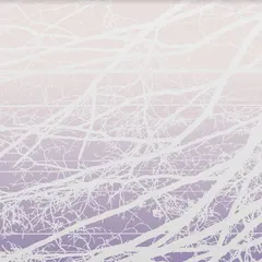 Lea Bertucci Meta Aether/Resonant Field (2LP)
