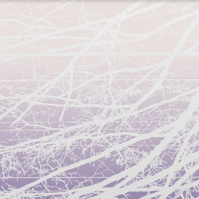 Lea Bertucci Meta Aether/Resonant Field (2LP) 