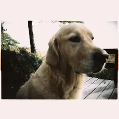 Takomaha Takomaha (LP)