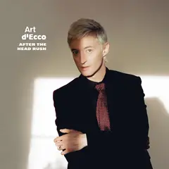 Art D'Ecco After The Head Rush (LP)