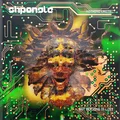 Shpongle Nothing Lasts…But Nothing Is Lost (2LP)