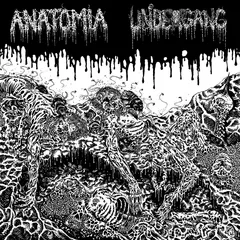 Undergang / Anatomia Split LP (LP)