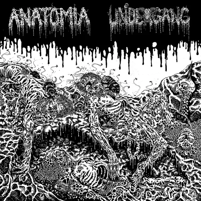 Undergang / Anatomia Split LP (LP) 
