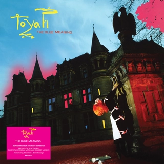 Toyah The Blue Meaning (LP)