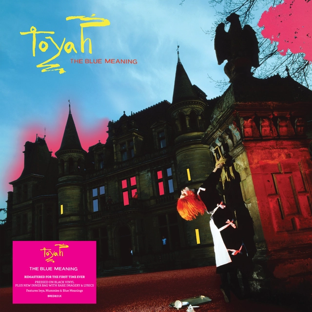 Toyah The Blue Meaning (LP) 