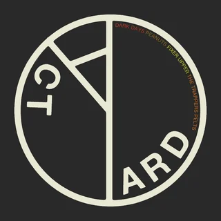 Yard Act Dark Days (12")