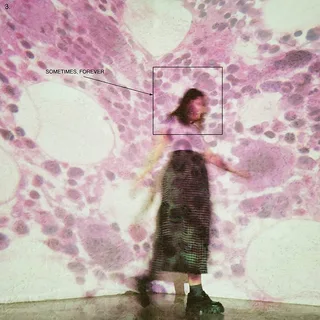 Soccer Mommy Sometimes, Forever (LP)