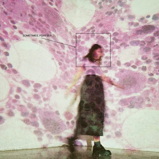 Soccer Mommy Sometimes, Forever (LP) 