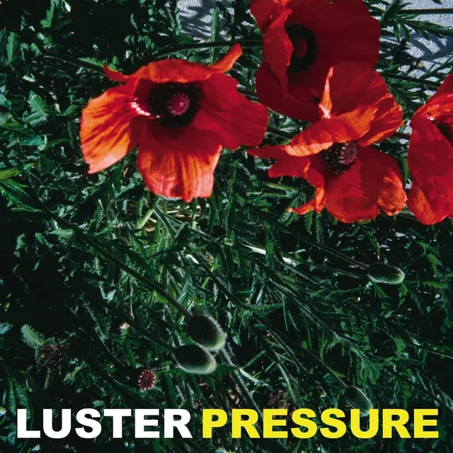Luster Pressure (LP) 