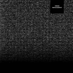 Portico Quartet Terrain (LP)