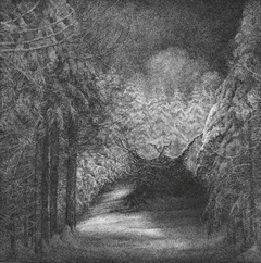Djevel Blant Svarte Graner (CD)