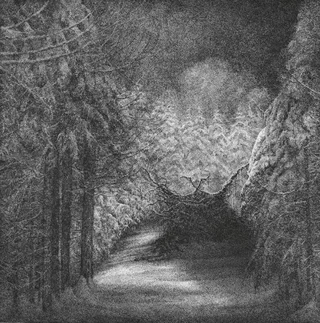 Djevel Blant Svarte Graner (CD)