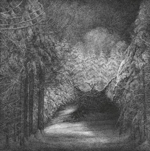 Djevel Blant Svarte Graner (CD) 