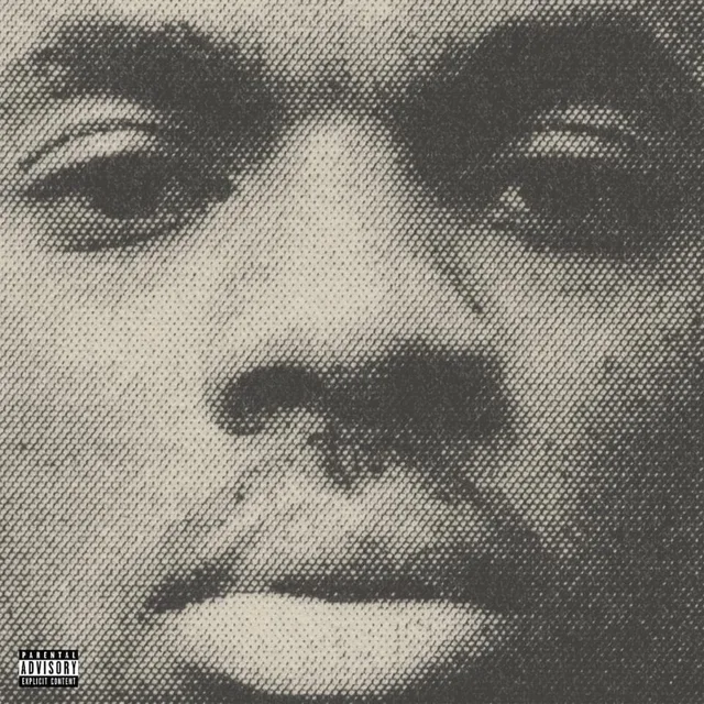 Vince Staples Vince Staples (LP) 