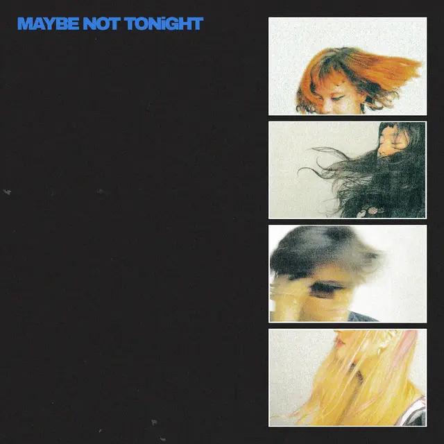 Lime Garden Maybe Not Tonight - LTD (LP) 