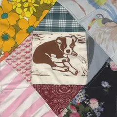 Mapache Roscoe's Dream (2LP)