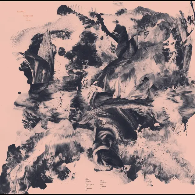 Barnett & Coloccia Third Wilderness (LP) 