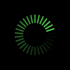 Orbital 30 Something (4LP)