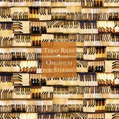 Terry Riley Organum For Stefano (CD)
