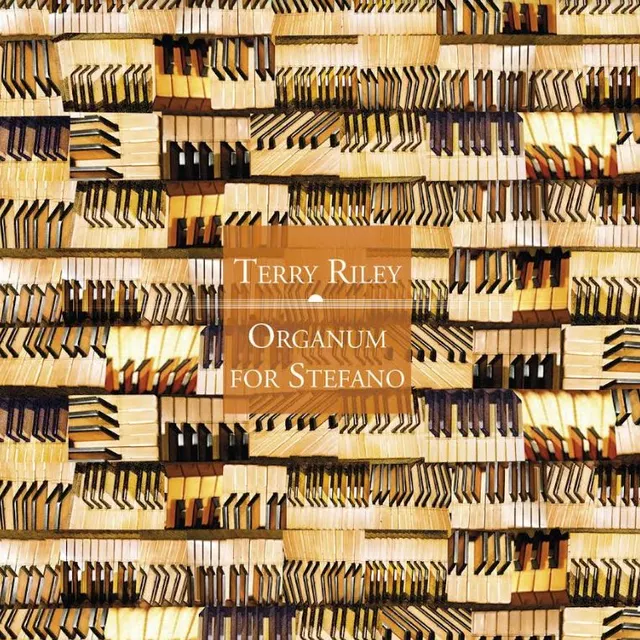Terry Riley Organum For Stefano (CD) 