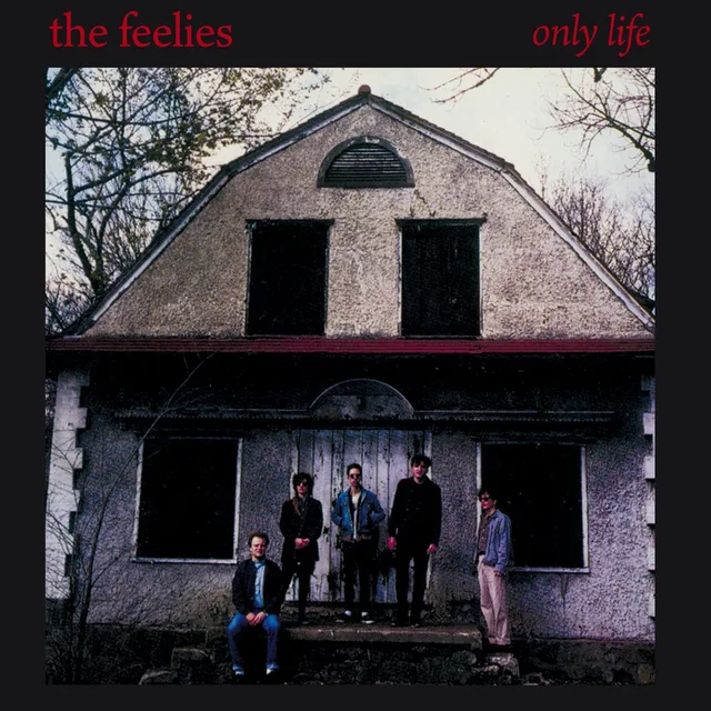 The Feelies Only Life (CD) 