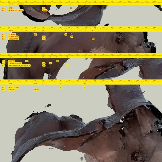Awe Kid Body Logic (2LP) 