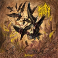 Noroth Harbinger (LP)