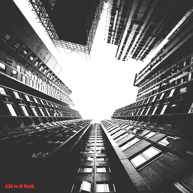 G36 Vs JK Flesh Disintegration Dubs (2LP) 