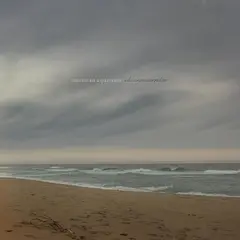 American Aquarium Chicamacomico - LTD (LP)