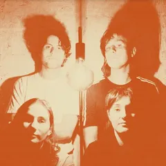 The Stroppies Levity - LTD (LP)