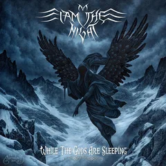 I Am The Night While The Gods Are Sleeping (LP)